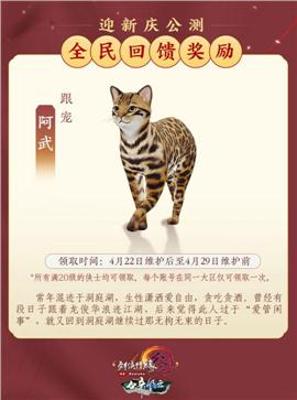 天龙八部私服6